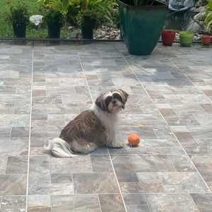 Meet your Posher, Mariana